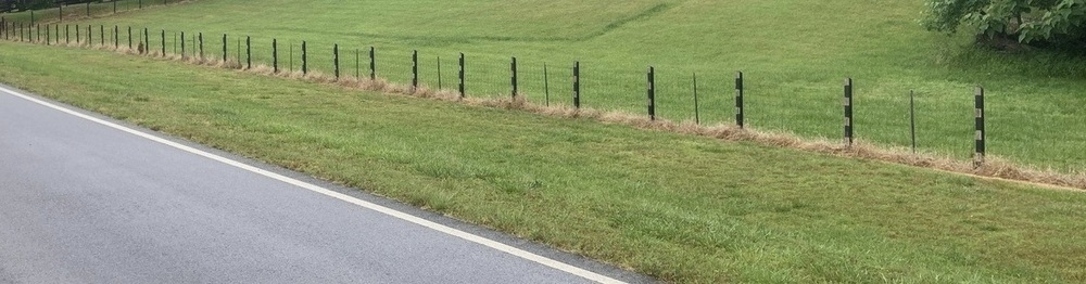 Treated Weeds Along Fence Line on Commercial Property Sprayed by VegClear Commercial Applicator in South Carolina for an Industrial Asset Manager Client