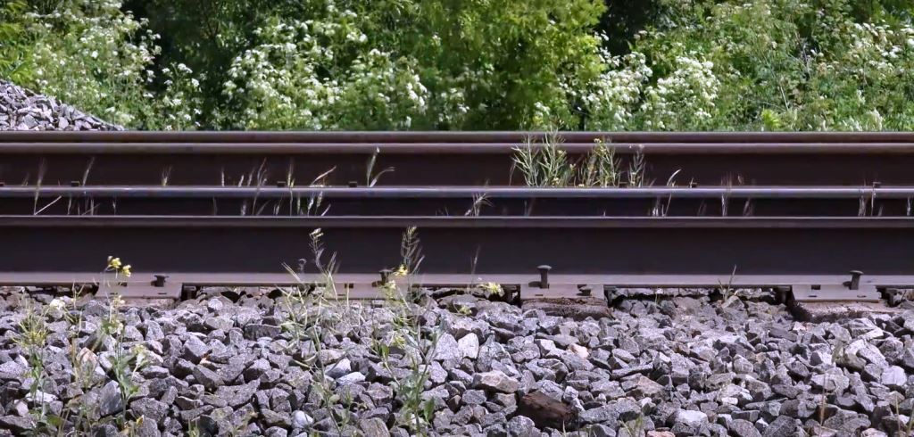 Railroad Vegetation Management: Railroads keep goods moving across America, but without proper vegetation control, train operations can be compromised. Overgrown vegetation along tracks leads to safety hazards, track obstructions, and increased maintenance costs. VegClear provides railroad vegetation management services to keep tracks clear and rail corridors safe. Uncontrolled plant growth can cause equipment damage, visibility issues, and schedule delays. Our herbicide-based vegetation control solutions prevent these problems, reducing fire risks and ensuring compliance with railway safety regulations. A proactive railroad vegetation management plan helps rail companies eliminate hazards before they impact operations. Contact VegClear to maintain clear, safe, and operational tracks year-round.
