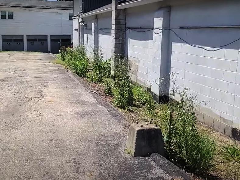 Invasive Vegetation, Noxious Weeds Sprayed with a developed custom vegetation management plan