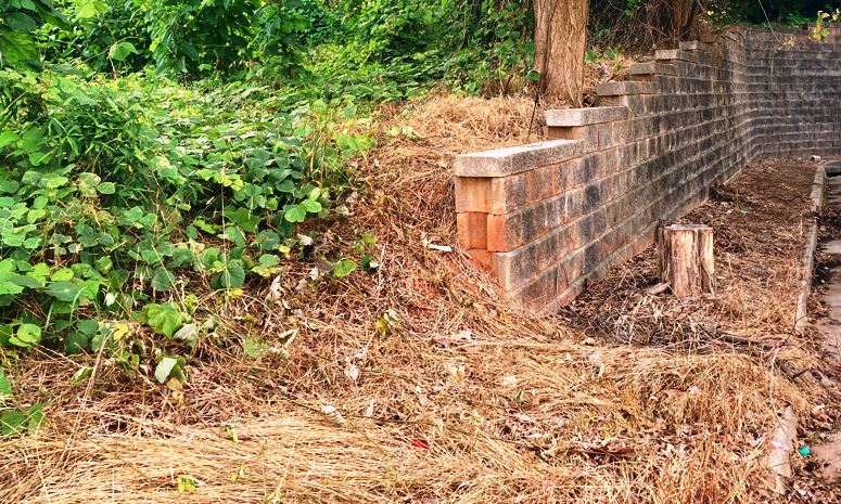 retaining wall kudzu herbicides applied spraying the foliage of weed sprouts and coating herbicide directly on to the growth and the ground level to prevent future unwanted growth on industrial property in Forsyth County Georgia