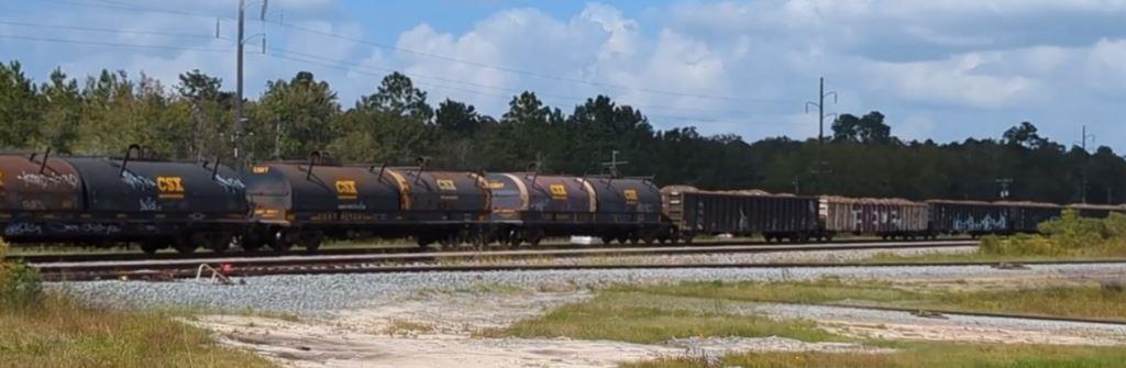 Long line of CSX rail tank cars parked on industrial rail spur tracks with overgrown vegetation along the ballast and shoulder areas. Example of rail right-of-way weed control needs for industrial transportation sites in Georgia.
