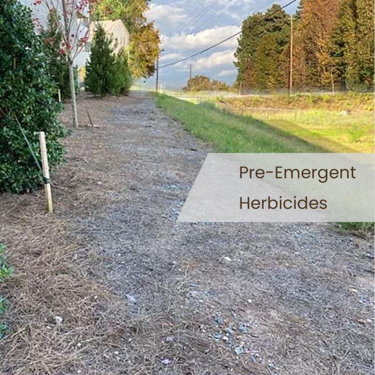 Pre-emergent herbicides to prevent new weed growth before germination