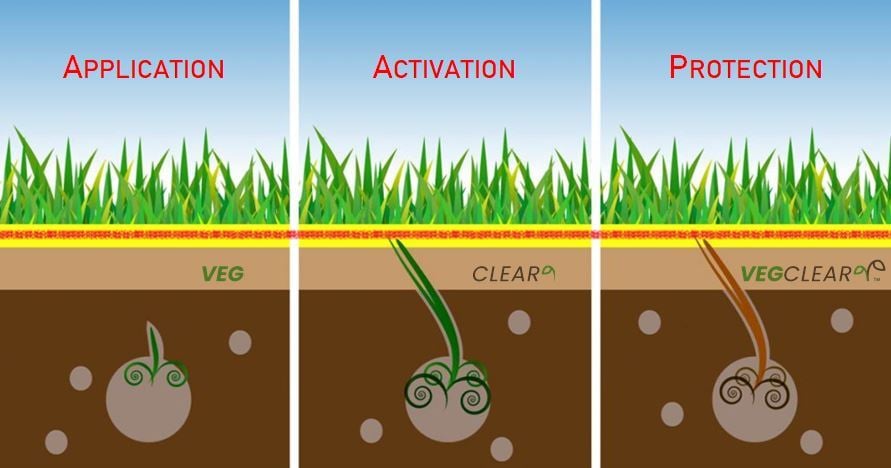 Pre emergent products work by forming a barrier in your mulch or soil where most seeds germinate and prevent the development of weeds