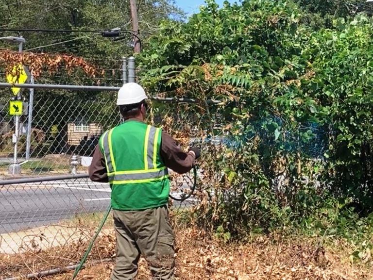 VegClear Technician Applying Selective Brush Control Herbicide Mix With Postemergence Herbicides on Right-of-way vegetation wearing PPE.