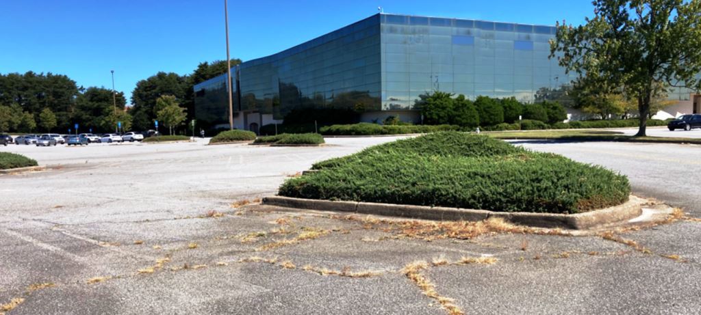 Overgrown commercial landscape parking lot covered in weeds requiring herbicide treatment to supplement weekly landscape maintenance