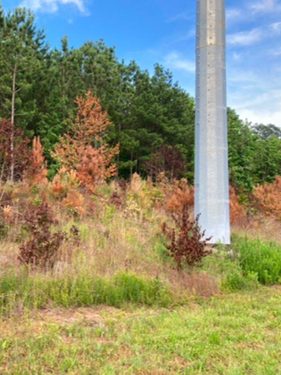 Selective Herbicides Target weeds & woody brush and trees without harming most grasses and is often used in rights-of-way for weed control