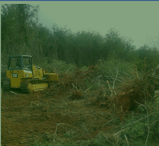 In Partnership with VegClear, Bulldozer Used on Large Commercial Property to Remove Nonnative Vegetation for Brush Control
