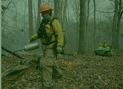 Controlled Burning, or Prescribed Burning, for Vegetation Control on Commercial Parcels