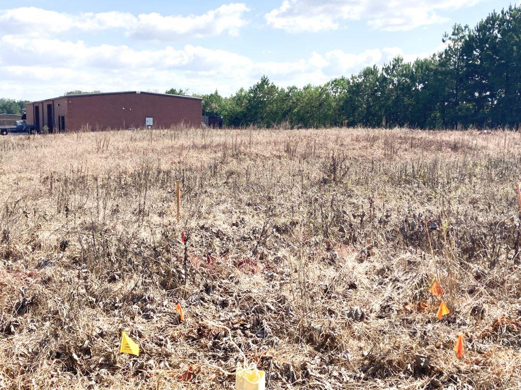best weed treatment herbicide for spraying foliage of re-sprouts and cutting tops of the root crown and painting herbicide directly on to the cut surface to kill kudzu at industrial site