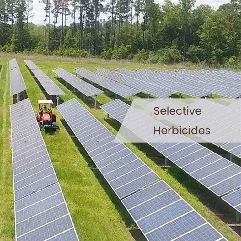 Selective herbicides for targeted weed control without harming other plants