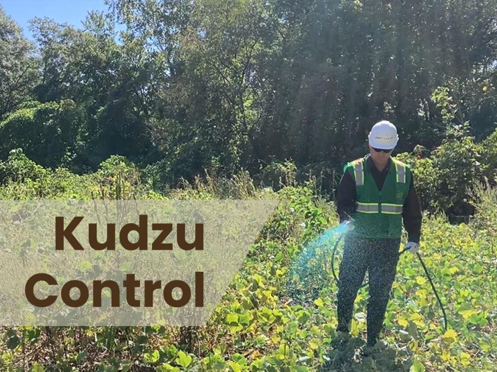 Technician spraying herbicide with visible blue dye for invasive kudzu control on an overgrown site in the Southeast, providing industrial vegetation management for utilities, rail, roadside, and commercial properties.