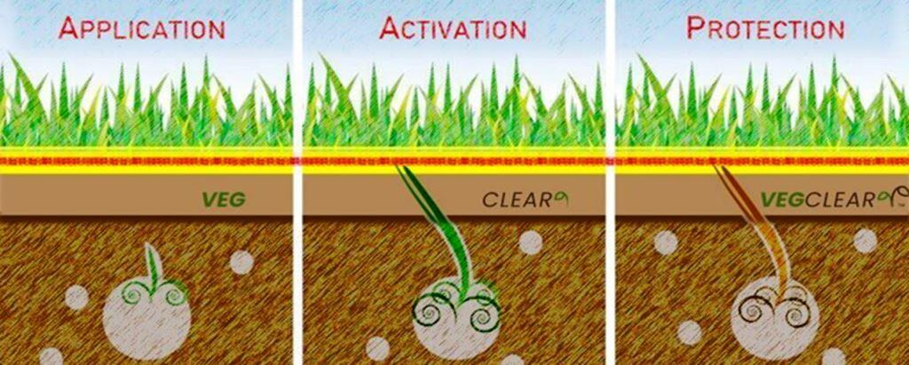 Diagram showing VegClear’s three-step industrial vegetation control: Application of herbicide, Activation in root zone, and long-term Protection preventing regrowth across commercial sites.
