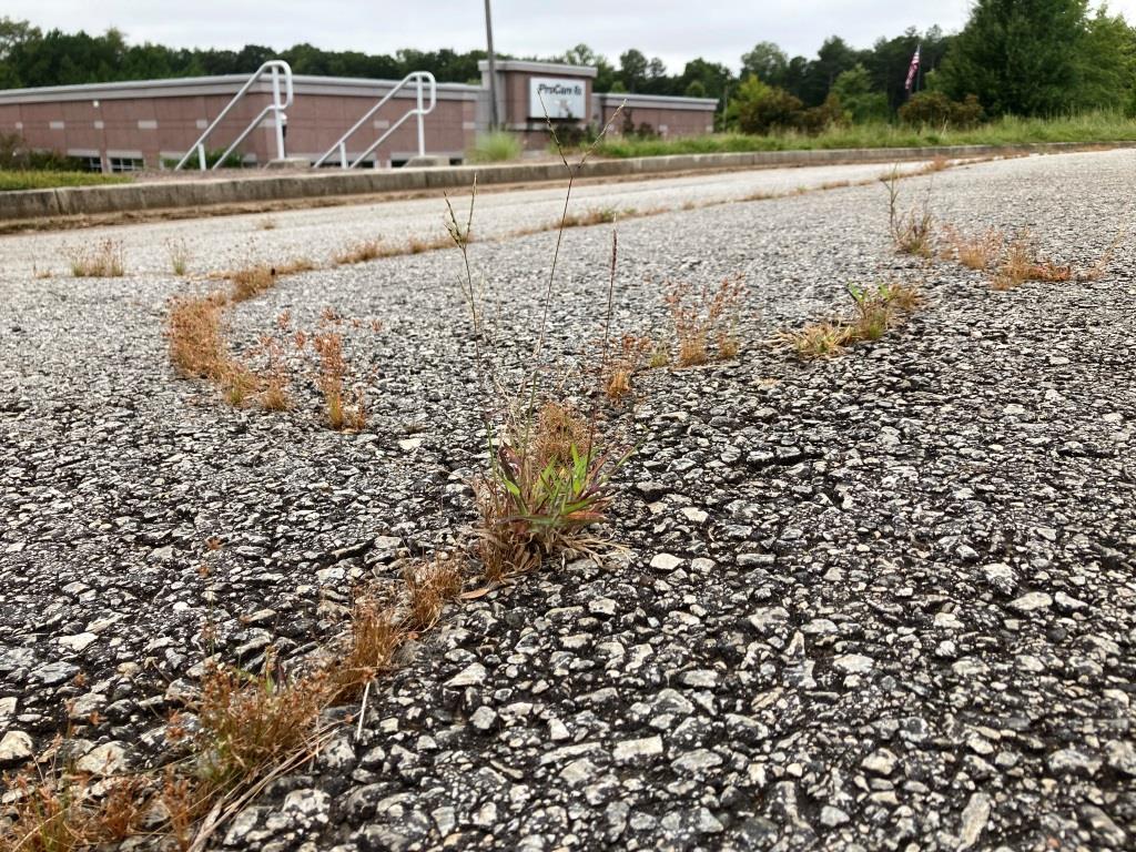 Pavement crack and crevice weed control