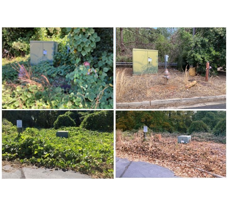 Commercial Kudzu Herbicide Before and After, Pre & Post Application VegClear Industrial Vegetation Management