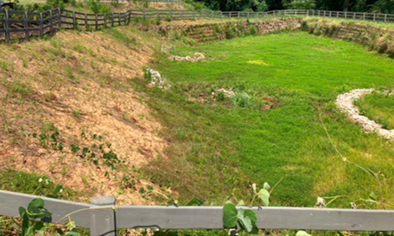 Retention pond shelf at a Norcross, GA self storage facility showing treated and partially controlled vegetation on the embankment after herbicide application. VegClear reduces brush and weed growth, keeping drainage areas clear and property infrastructure protected