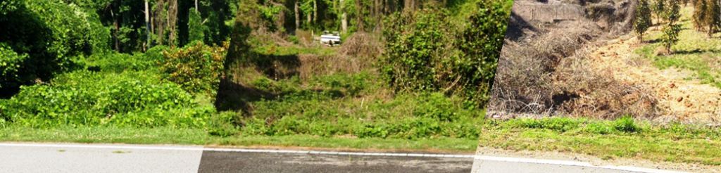 Before, during and after herbicide treatment at a commercial storage property along a roadside right of way overgrown with kudzu in Forsyth County, GA