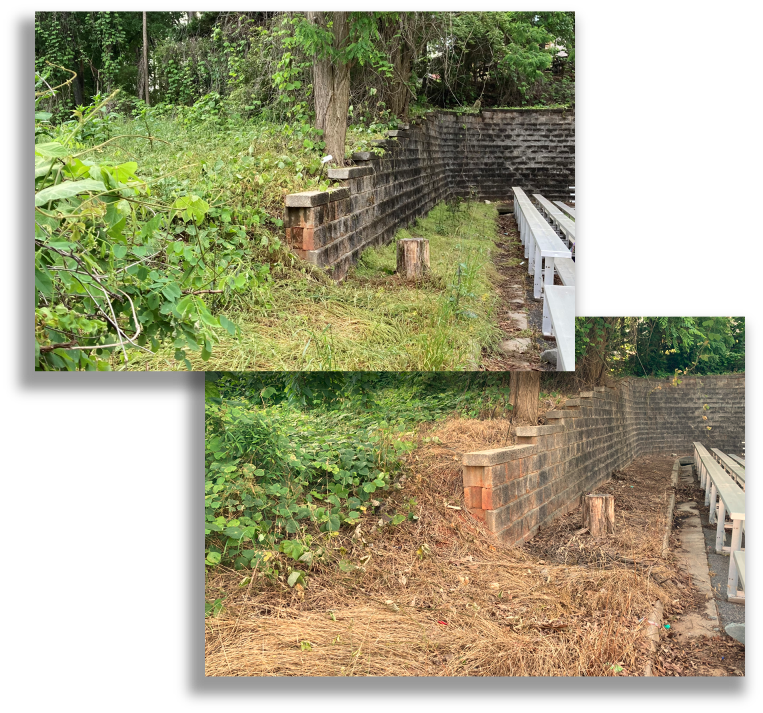 Before and after view of industrial fence line with heavy kudzu cleared and controlled along perimeter access corridor