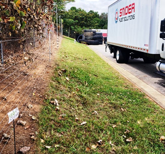 Ensure secure fencing and gates are visible and accessible to patrons and security staff.