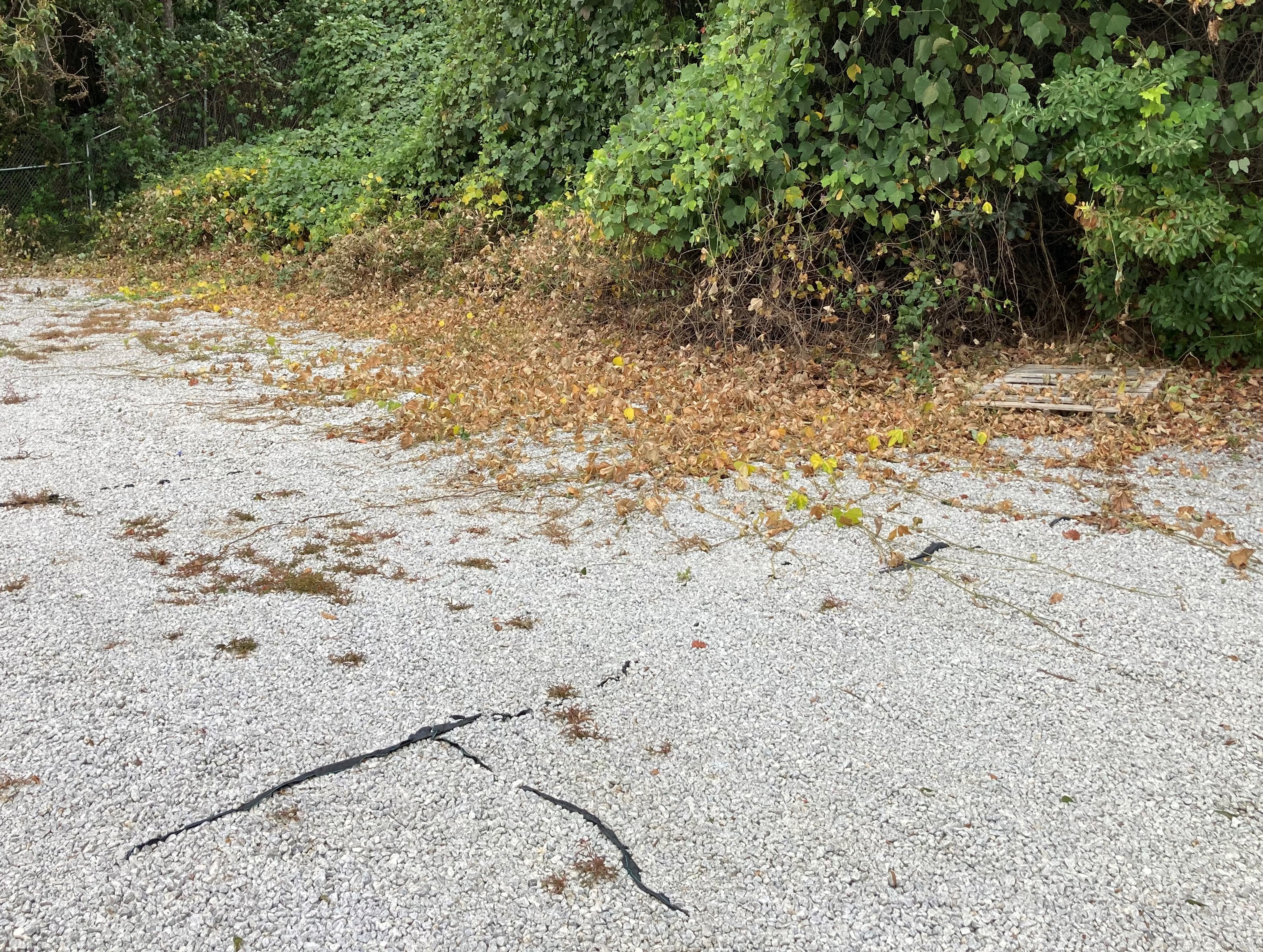 Gravel Path Next to Asphalt Parking Lot