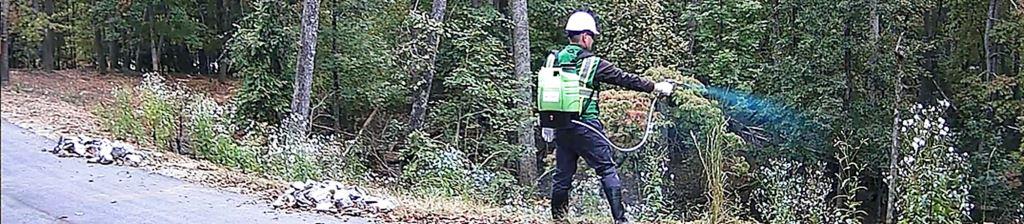 VegClear technician performing roadside herbicide application using a backpack sprayer with visible blue dye for accuracy. Professional right-of-way vegetation control along a Georgia roadway ensures compliant, low-volume weed and brush management for DOT and county maintenance crews.