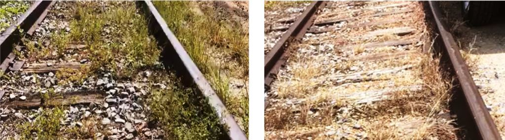 before and after railroad tracks treated with VegClear total vegetation control application in Georgia