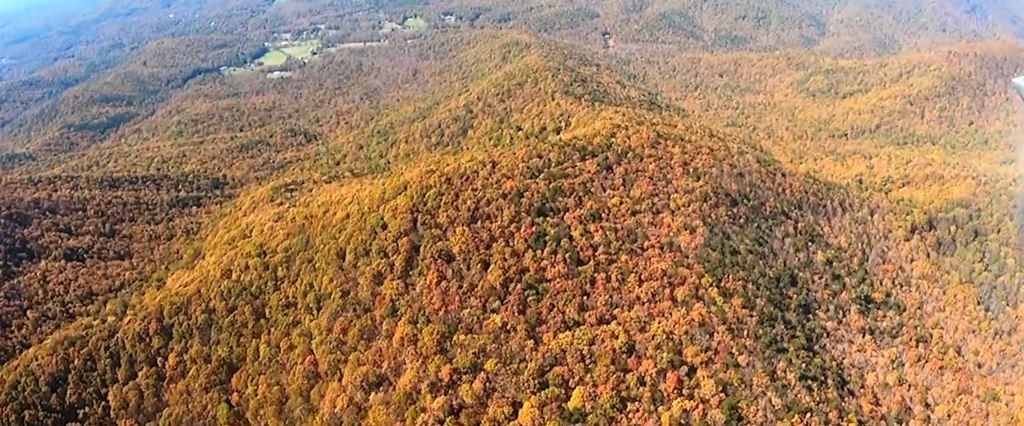 Aerial view of forested mountain terrain and managed public land associated with government agencies, natural resource management, forestry operations, watershed protection, and land stewardship.
