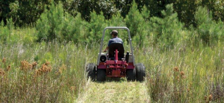Operator mowing tall vegetation along a municipal right of way corridor, cutting a path through overgrown brush and grass. Shows mechanical upkeep used by public works crews before supplemental herbicide treatments extend control and reduce repeat cycles.