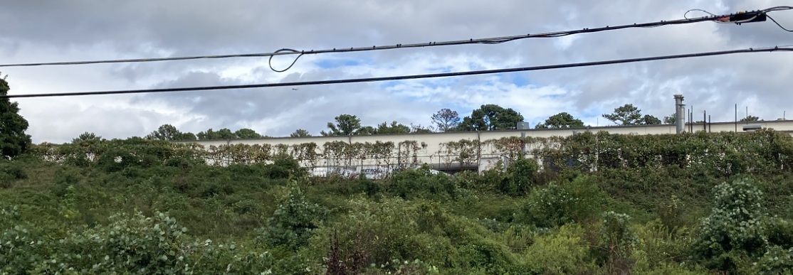 Kudzu covered fence line requiring herbicide application on school grounds with a professional low profile spray rig to treat gravel paths, bare ground, perimeter edges, and access routes common on school campuses.