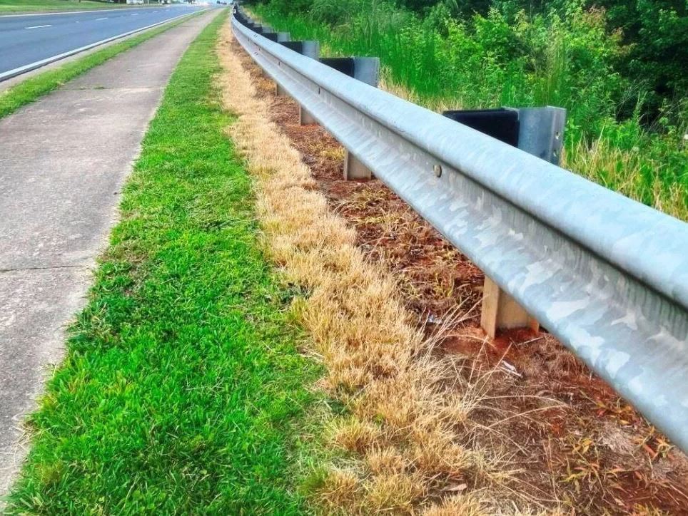 VegClear Technicians Roadside Herbicide Application Crew Selective Weed Control on Municipal Property