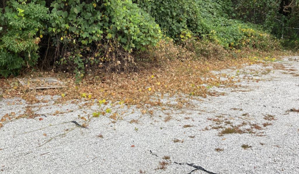 Commercial Property Industrial Vegetation Control: Gravel Site Using the Best Spray Mix of Herbicides