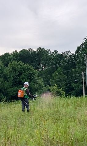 Weed Control on Government Public lands with vegetation control problems is solved by a knowledgeable contractor partner