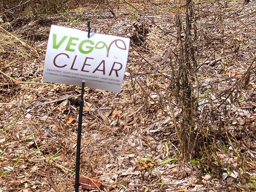 VegClear Treatment Applicator Treating Invasive Kudzu & Brush with Selective Mix on Industrial Property in North Georgia