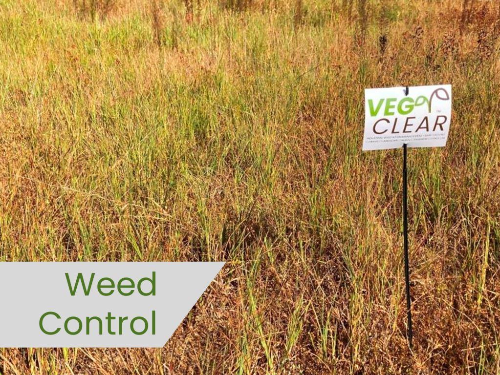 Georgia Industrial Property Receives Professional Weed Control and Vegetation Management Treatments from VegClear