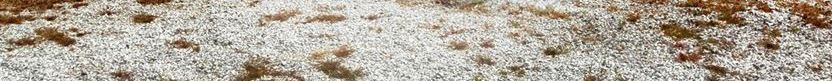 Industrial Vegetation Management Services by VegClear includes Bare Ground, Gravel Weed Management and Total Vegetation Control
