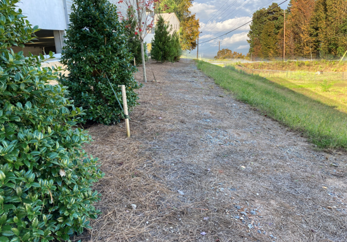 Commercial Landscaped Bed showing vegetation control services preventing and controlling vegetation on commercial property VegClear