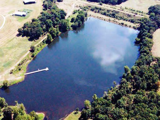 Embankment dam surrounded by well-managed vegetation-free zones, showcasing the importance of vegetation control in preventing seepage and ensuring structural stability