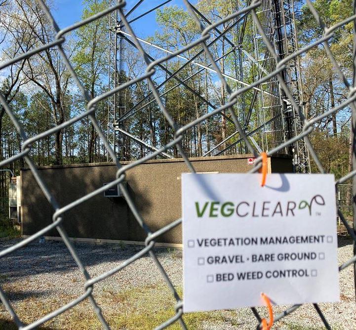 Weed Control Is Challenging for Annual Herbaceous Weeds Found in Disturbed Soils and Problematic for Property Managers; Prevalent Species Found in Georgia and South Carolina Include Smooth or Redroot Pigweed, Johnsongrass, Dallisgrass, Creeping Charlie, Wild Garlic, and Wild Onion