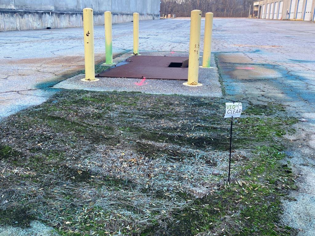 Right-of-way roadside vegetation management services by VegClear