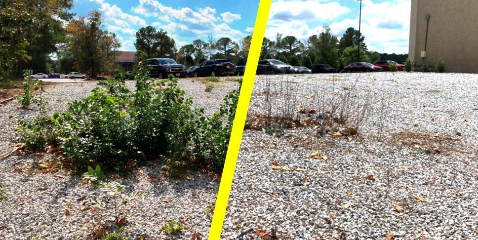 Treated Vegetation on Gravel Bareground Commercial Landscape Weed Control Service for gravel bareground, commercial parking, roadside, utility, right-of-way