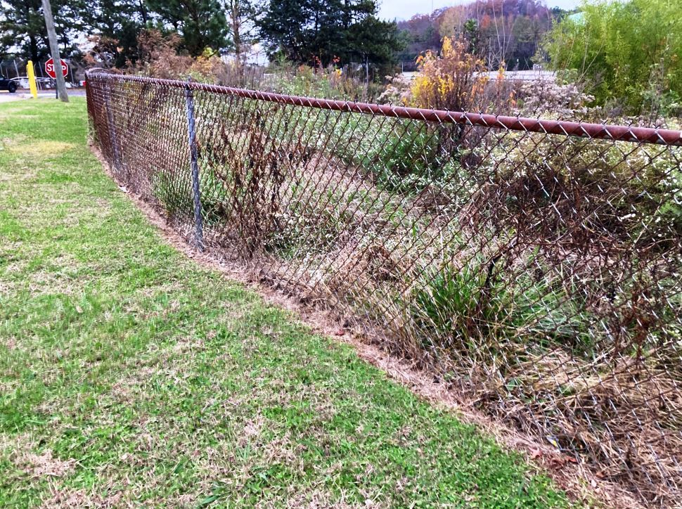 fenceline surrounding detention pond shelf which harbors cross contaminated vegetation growth unless proactively pre-emerged to prevent weeds in industrial landscape