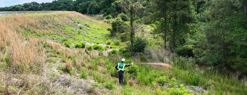 VegClear technician performing selective herbicide application on a retention pond slope to manage invasive brush and overgrowth while preserving surrounding turf and drainage function. Industrial vegetation management for municipal and utility sites.