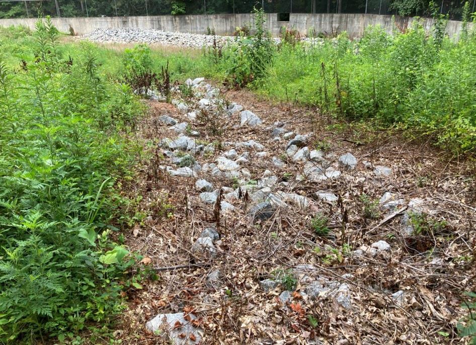 Overgrown Vegetation Can Clog Drainage Pathways, Cause Extreme Erosion, and Result in Municipal Stormwater Violations. Expert Herbicide Applications Keep Drainage Paths Clear and Compliant With Local and Federal Waterway Regulations.