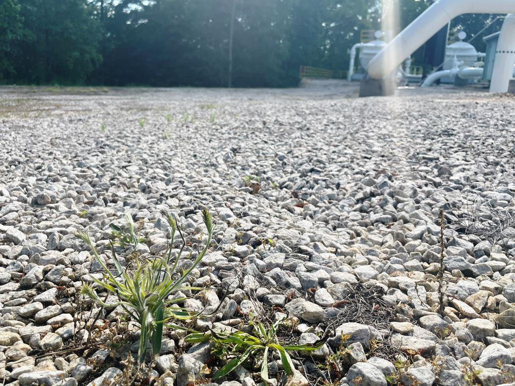 Licensed technician sprayed this site with mounted herbicide sprayer and applied vegetation control treatment along the perimeter of an industrial property. Polaris utility vehicles equipped with a reel and broadcast spray system for precise chemical application across paved and gravel areas. This image represents VegClear’s industrial vegetation management services designed for distribution centers, warehouses, and manufacturing facilities, where safe, controlled herbicide application keeps large properties clear, accessible, and compliant with operational and safety standards.