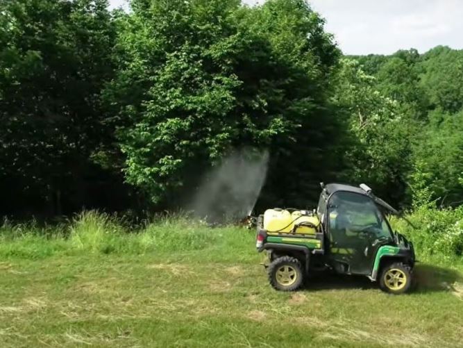 ATV spray application for parks, achieving selective invasive vegetation control.