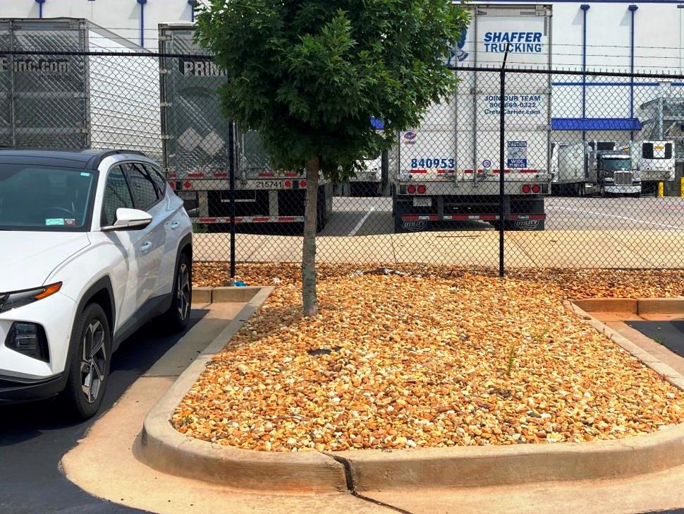 Commercial landscapes: Weed management in pine straw beds and pavement cracks by VegClear