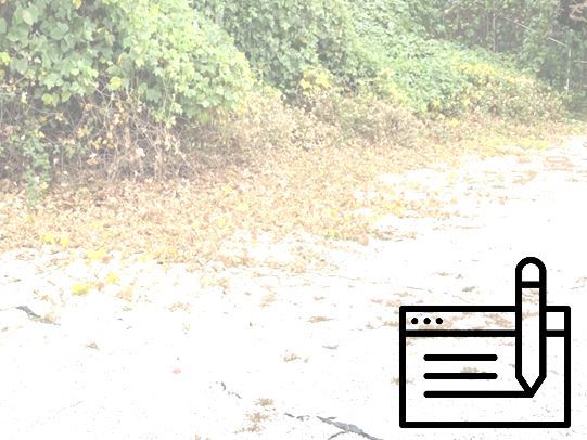 vegetation management for right of way roadsides