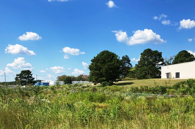 fenceline surrounding detention pond shelf which harbors cross contaminated vegetation growth unless proactively pre-emerged to prevent weeds in industrial landscape