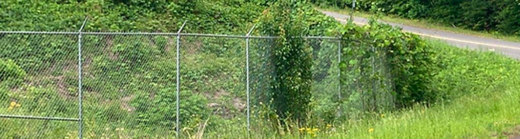 Kudzu vines aggressively overtaking industrial chain-link perimeter fence along a sloped roadside embankment in Georgia, demonstrating the urgent need for vegetation management and invasive species control using herbicide spraying programs for commercial, utility, and DOT-maintained properties.