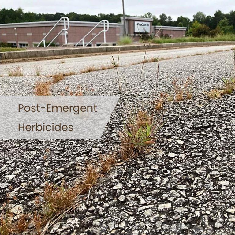 Post-emergence herbicides to control existing weeds with foliar or soil action