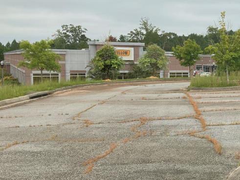 Commercial landscapes: Weed management in pine straw beds and pavement cracks by VegClear